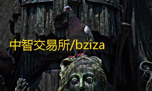 中智交易所带详细说明va源码